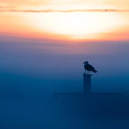 דירה Oosternest אוסטנדה