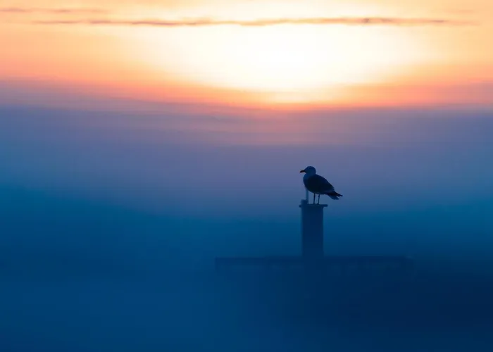 Appartement Oosternest Oostende