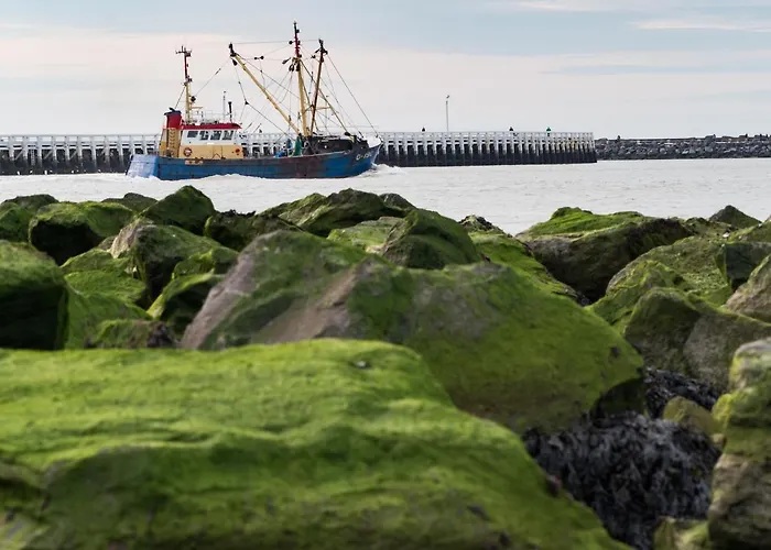 Oosternest Остенде