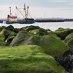 Oosternest Ostende